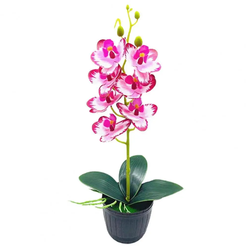 1 Takım Yapay orkide saksısı Plastik vitrin rafı Taklit Saksı Bitki Ev Simülasyon Bonsai vazo kapalı bitkiler için