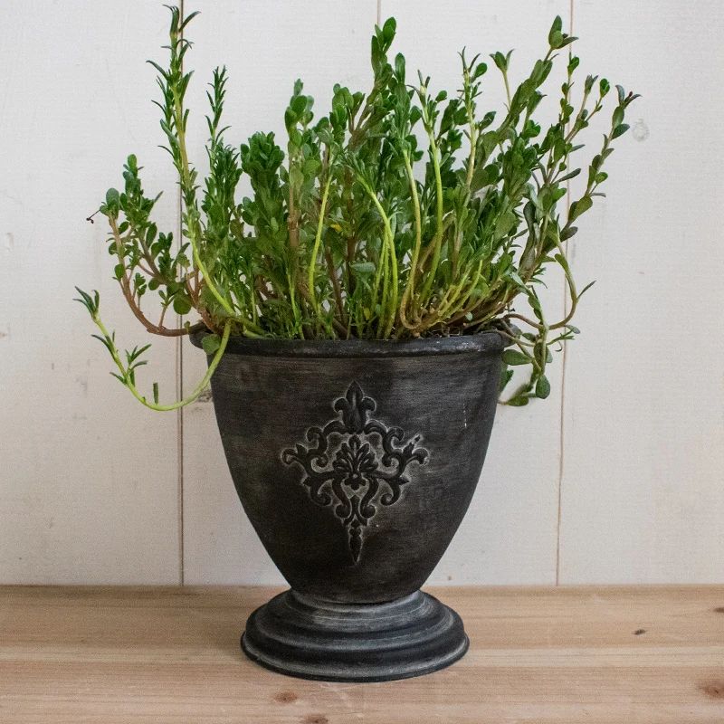Bahçe için Küçük Retro Vintage Metal Urn Pot, Siyah Çiçek Ekici