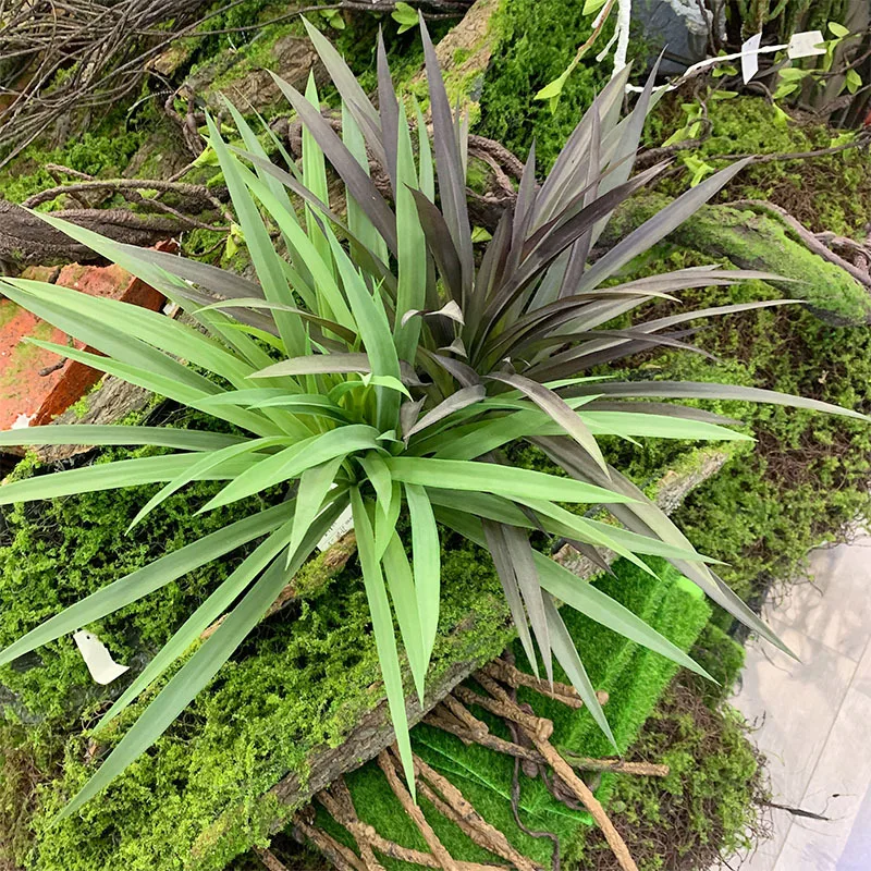 Chlorophytum Yaprak Yapay Plastik Çim Tropikal Ağaç Yaprakları Orkide Yaprakları Bitki Ev Bahçe Dükkanı Dekorasyon İçin