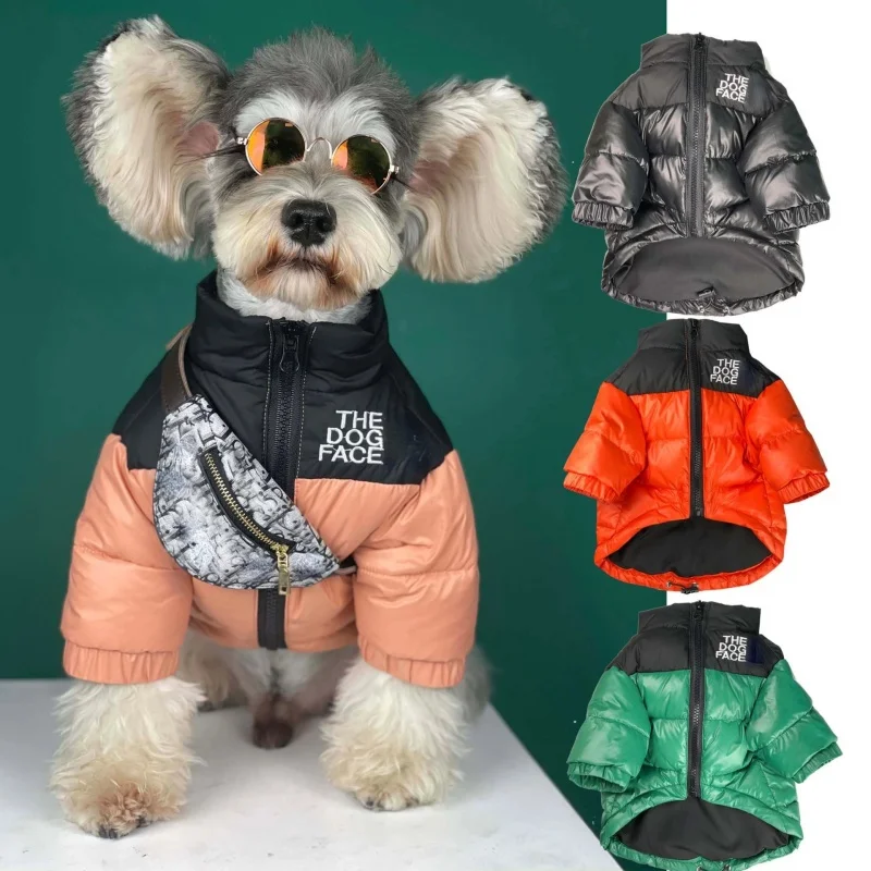 Kış Köpek Giysileri Köpek Giysileri Aşağı Ceket Yorkshire Chihuahua Fransız Bulldog Köpek Yüz Ceket Artı Kadife Sıcak Tutmak için