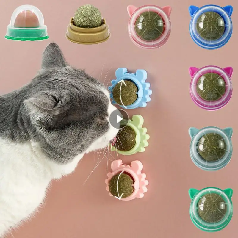 Pet Şeyler Sağlıklı Kedi Catnip Oyuncak Top Kedi Şeker Yalama Aperatifler Catnip Aperatif Beslenme Enerji Topu Yavru Kedi Oyuncak Kedi Malzemeleri
